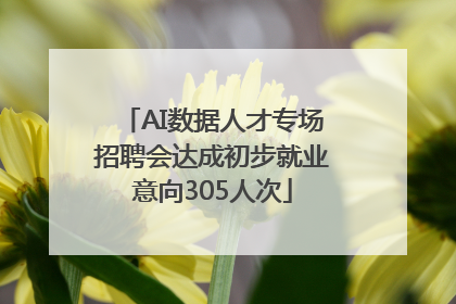 AI数据人才专场招聘会达成初步就业意向305人次
