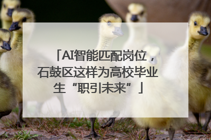 AI智能匹配岗位，石鼓区这样为高校毕业生“职引未来”